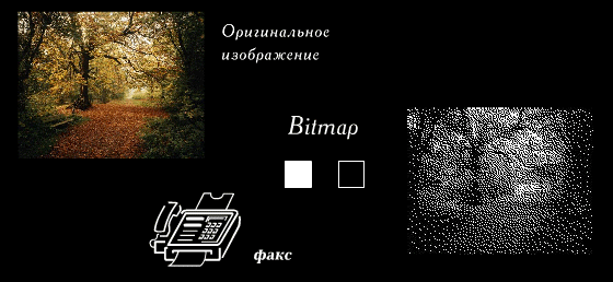 Bitmap